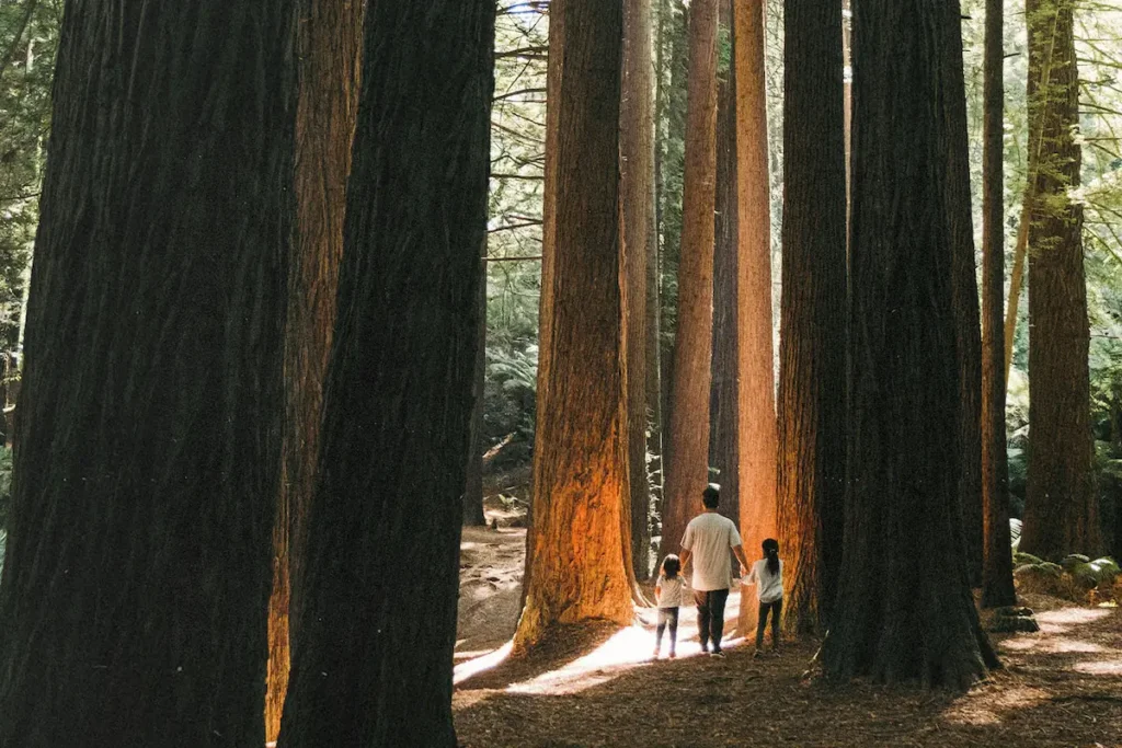 A person walking with two children among towering redwoods, symbolizing God’s promise to live long through obedience and faith.