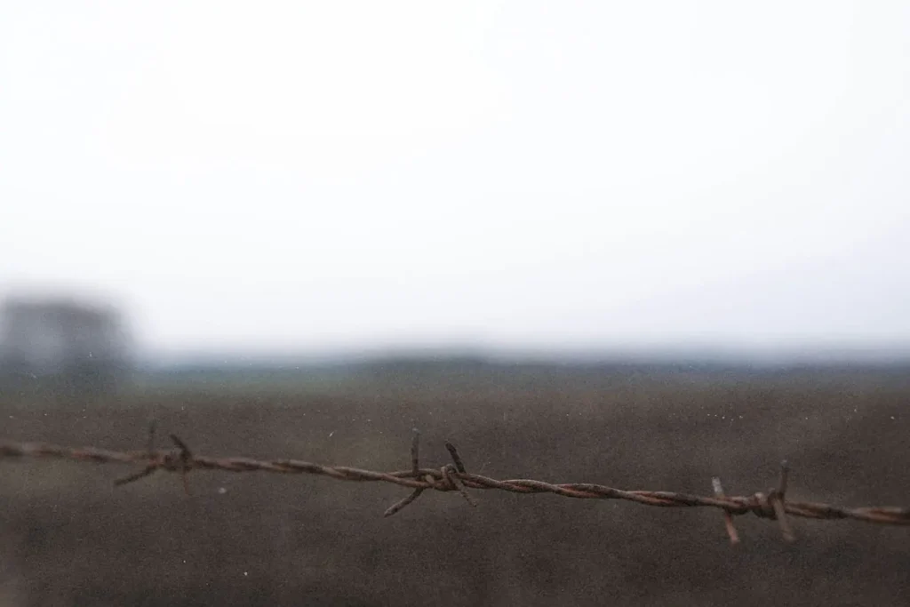barbed wire fence with the background blurred