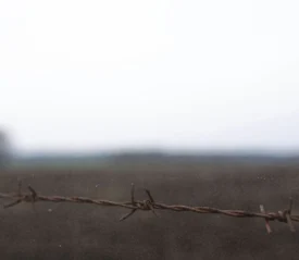 barbed wire fence with the background blurred