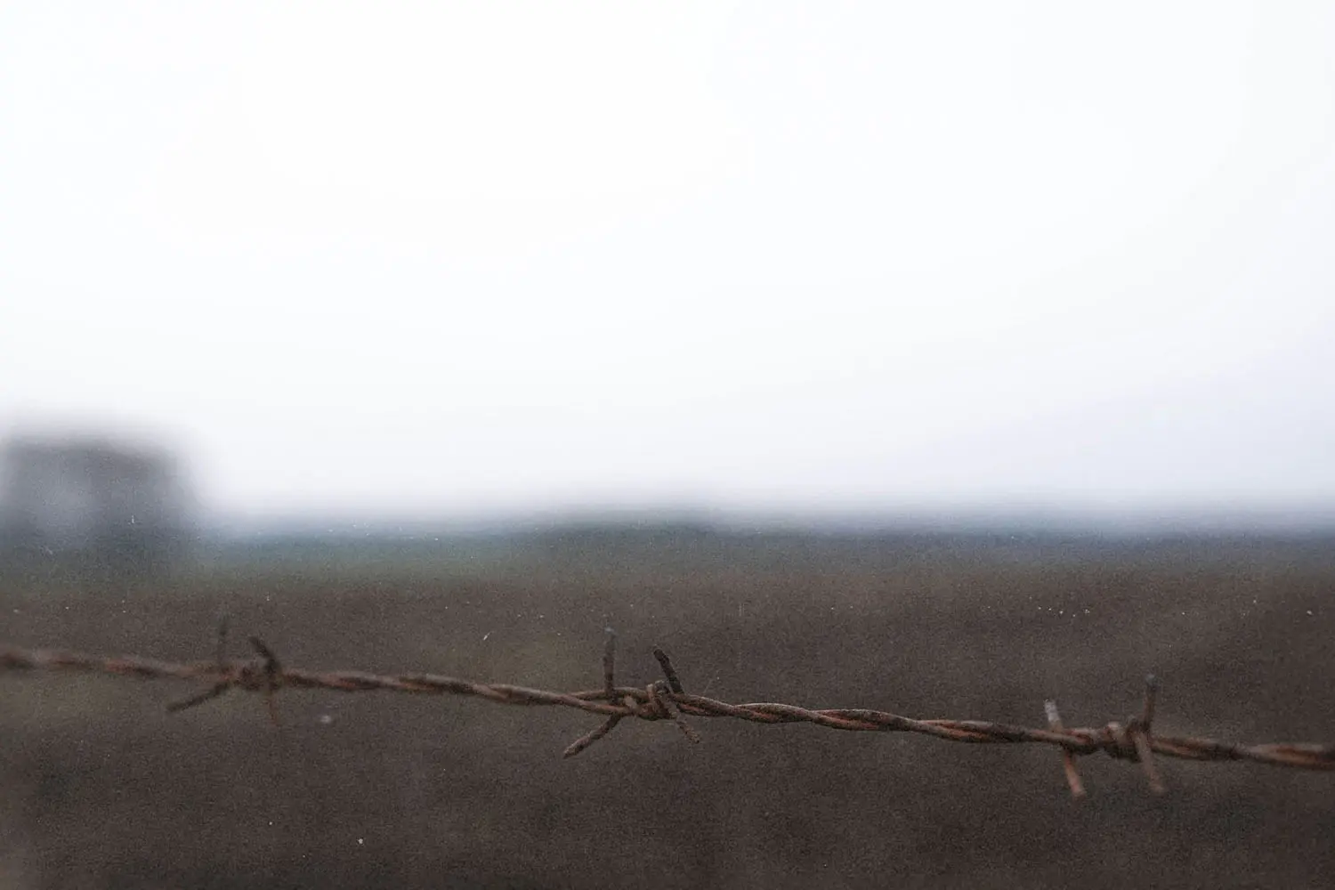 barbed wire fence with the background blurred