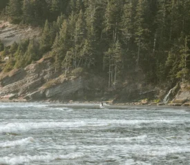 Gentle ocean waves roll toward a forested coastline with steep rocky cliffs and a small waterfall flowing into the sea