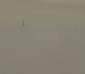 A single person walks across a vast, empty expanse of smooth sand, appearing small against the wide open landscape