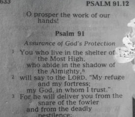 Open Bible displaying Psalm 91 with delicate white flowers resting beside the page