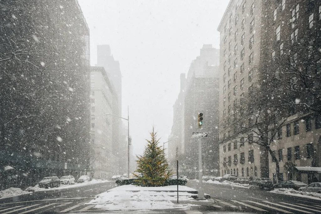 Snow falling over a lit Christmas tree placed on a median in a downtown winter scene