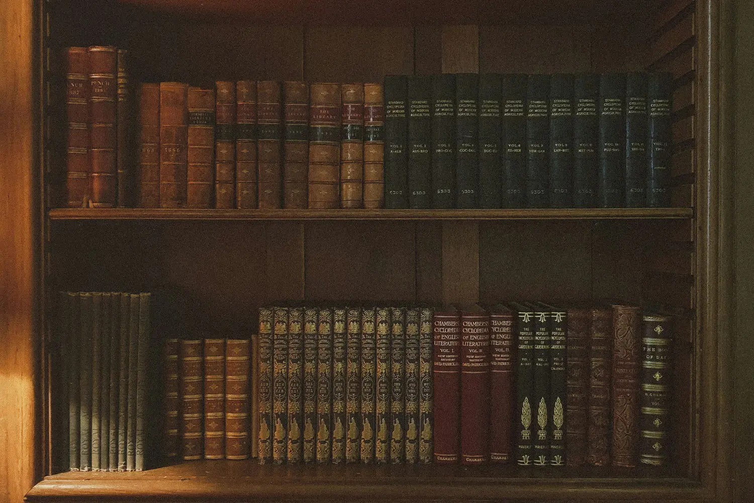 2 shelves full of leather hardcover books organized by color