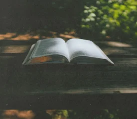 Open Bible resting on a wooden outdoor table with sunlight filtering through surrounding greenery