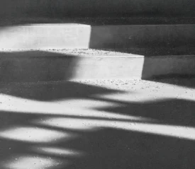 Sunlight casts geometric shadows across a set of concrete steps