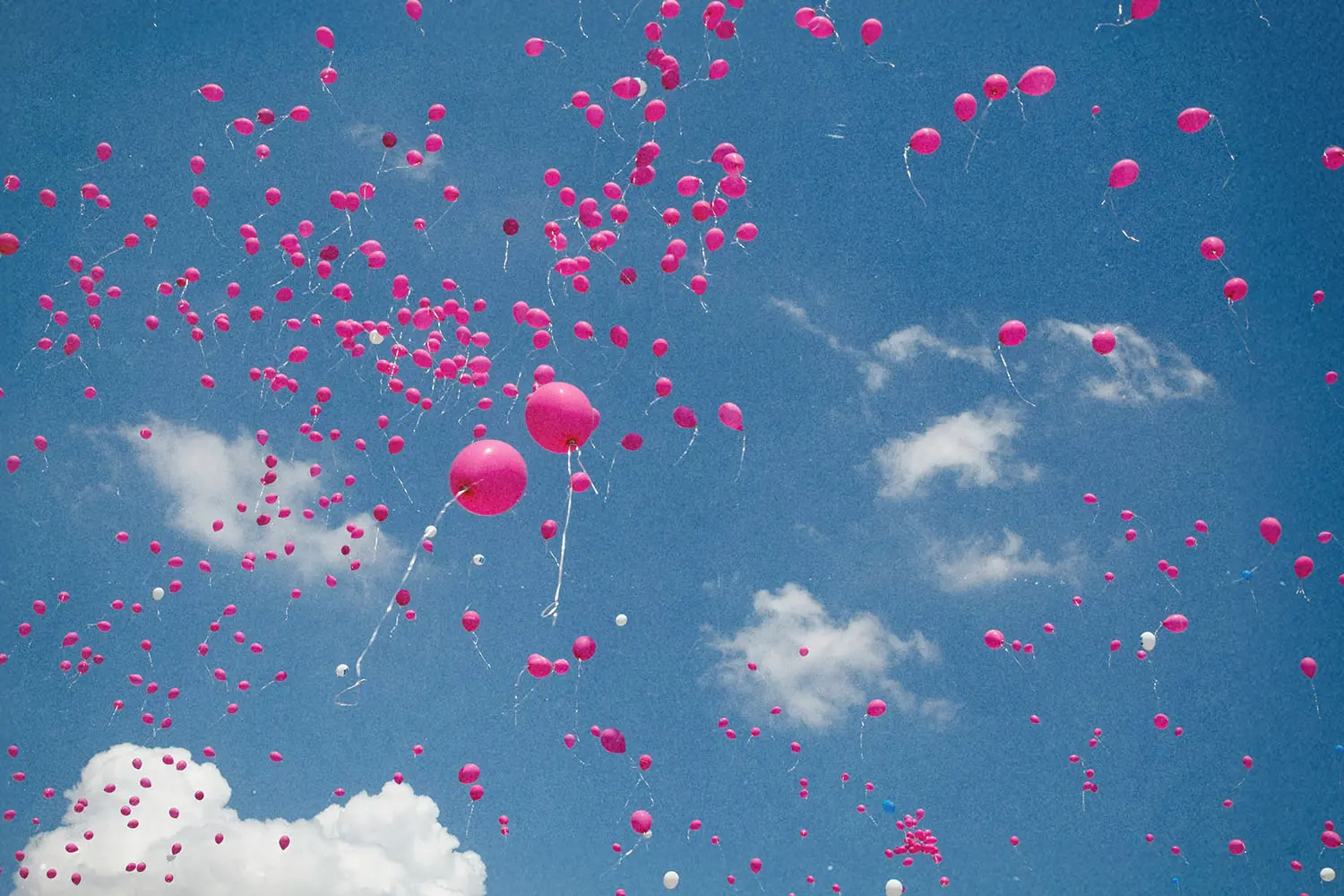 Sky full of pink balloons