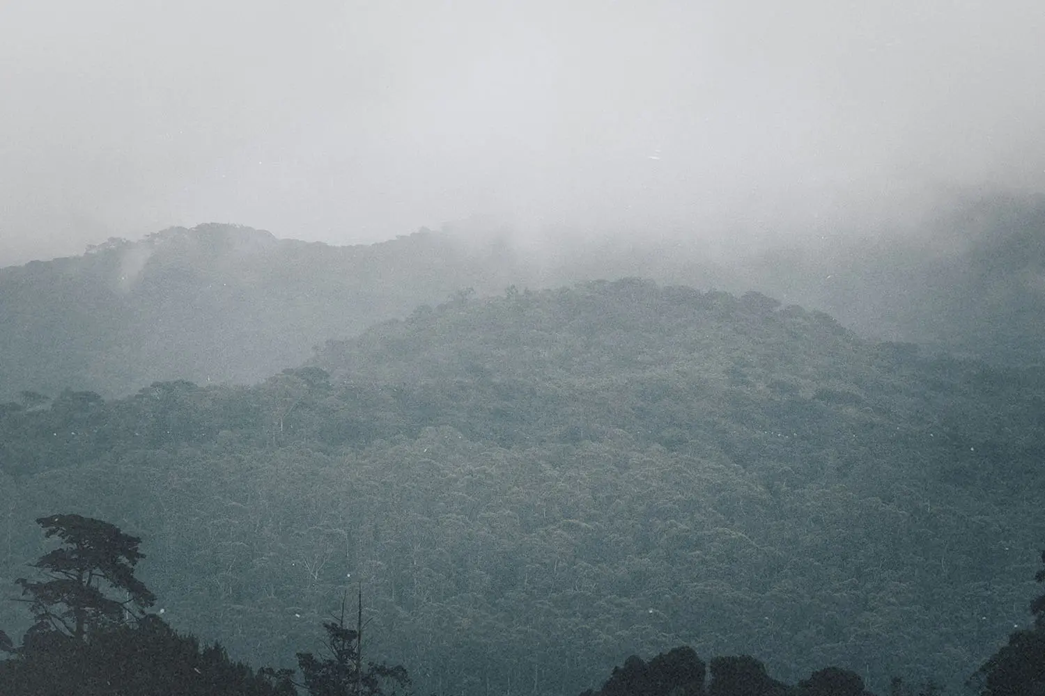 Layers of forested hills rise into thick fog, creating a moody, mist-covered landscape
