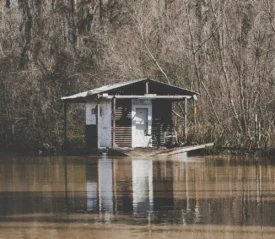 Shed in the middle of flood waters