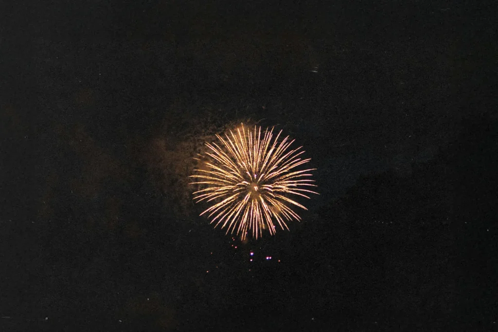 firework on dark sky