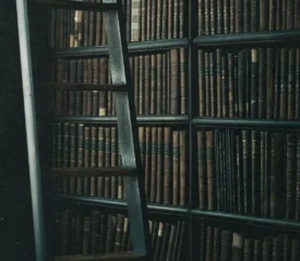 Library full of old books and a ladder