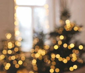 Blurred image of Christmas trees with twinkling lights