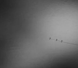 Line of 3 people walking, following the same line in the sand