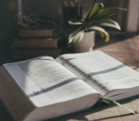 Bible open on table with sunlight coming through the window