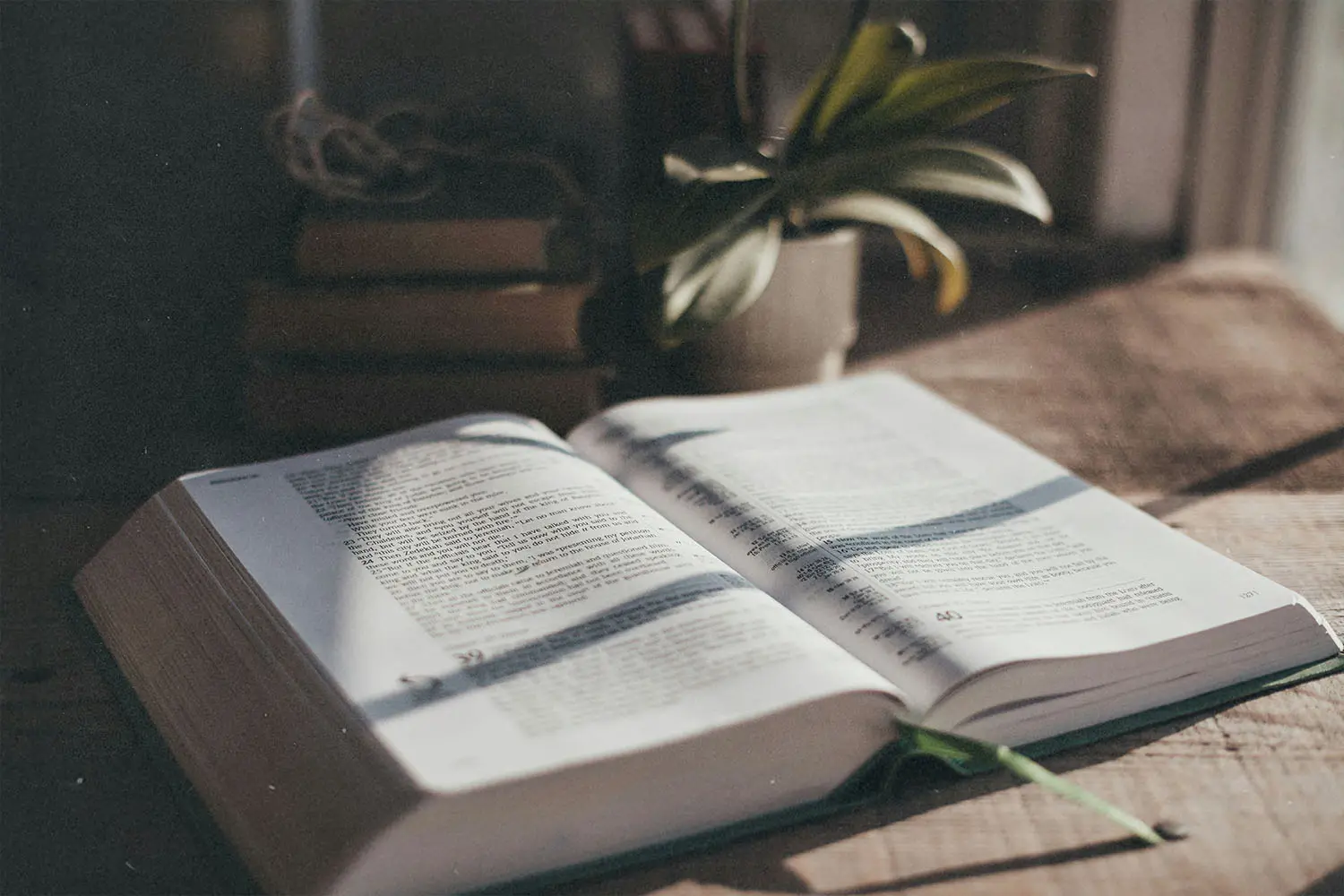 Bible open on table with sunlight coming through the window