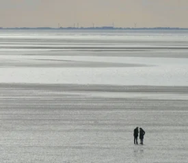 people in the distance on a beach