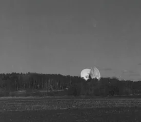 black and white photo of satellites sticking out of a tree line
