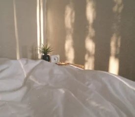 Soft morning light casting vertical shadows on a beige wall behind a bed with rumpled white sheets, a small potted plant, and a clock on the nightstand