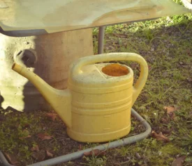 watering pot sitting on shelf