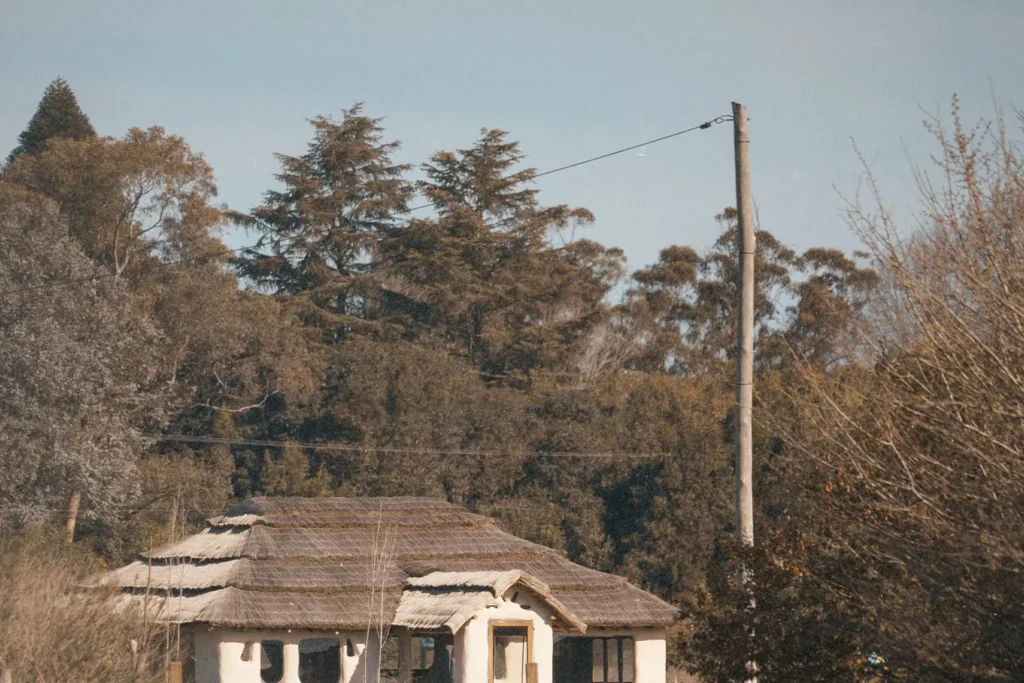 Cottage-style building at the edge of a wooded area with a power line overhead