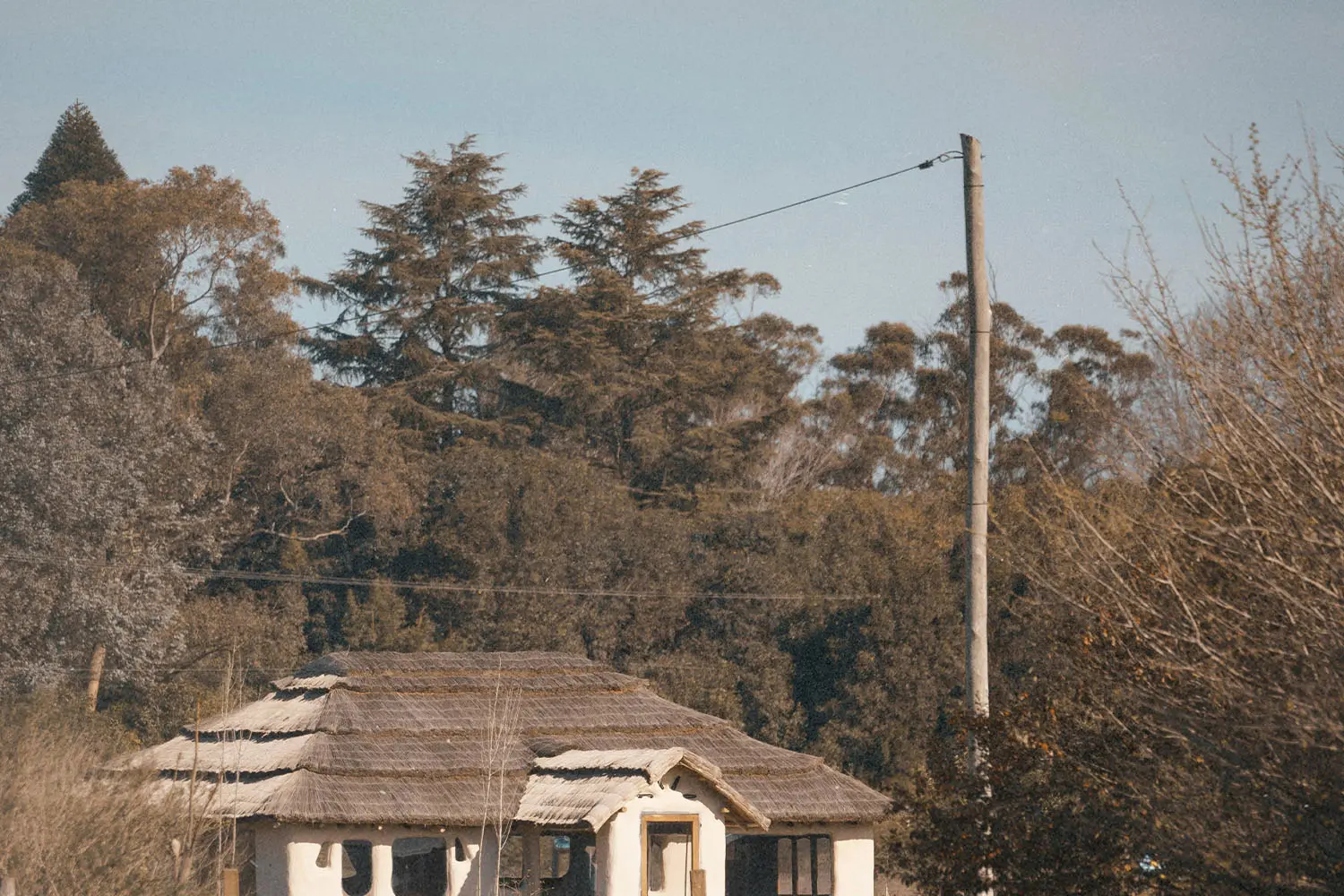 Cottage-style building at the edge of a wooded area with a power line overhead