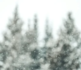 photo of falling snow in front of tree tops