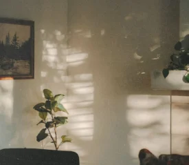 A quiet living room with sunlight casting patterned shadows on the wall, featuring potted plants, a framed landscape painting, and a tiled fireplace