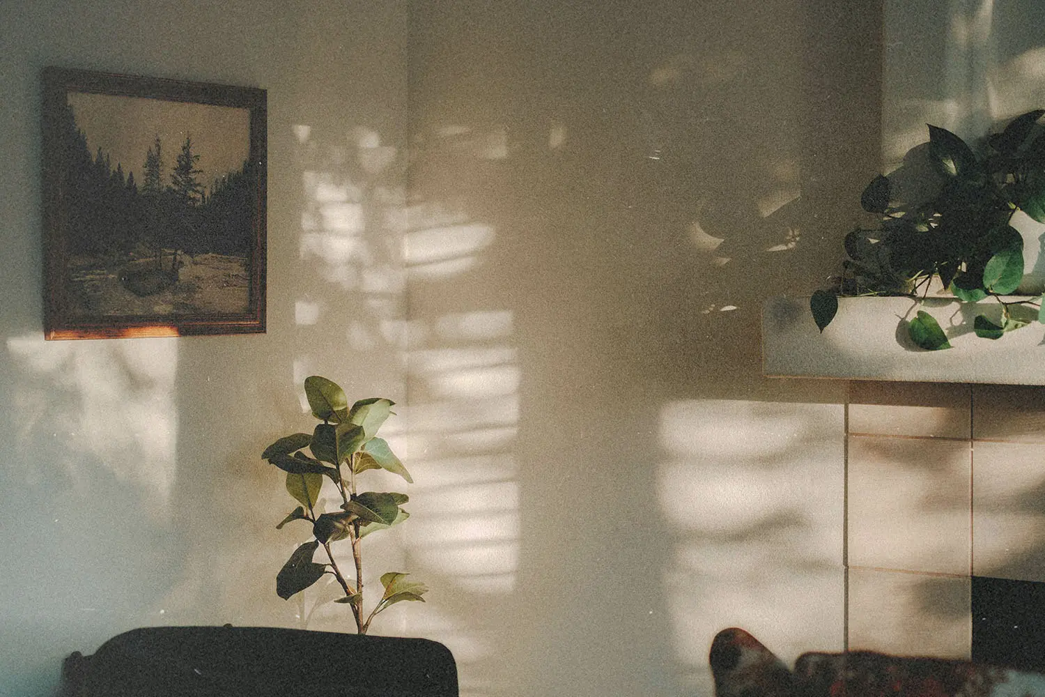A quiet living room with sunlight casting patterned shadows on the wall, featuring potted plants, a framed landscape painting, and a tiled fireplace