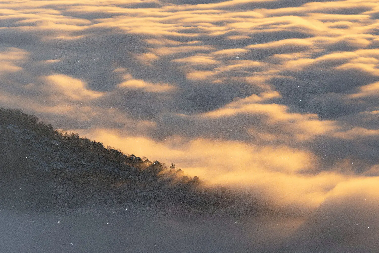 Low clouds or fog blanket a hillside landscape, glowing softly with warm light near the horizon