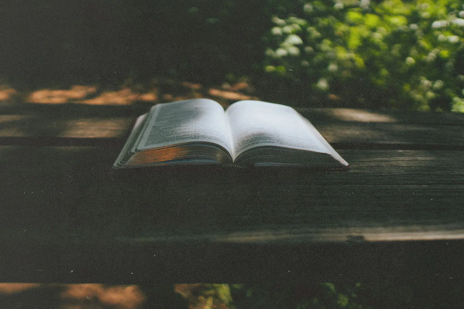 An open book rests on a weathered wooden table outdoors, surrounded by soft greenery and sunlight