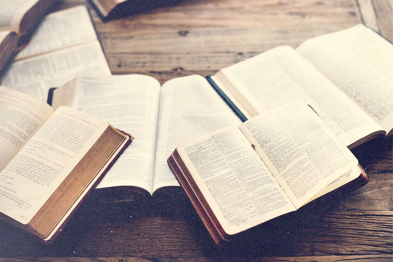 Several open Bibles spread across a wooden table, pages facing upward in soft natural light