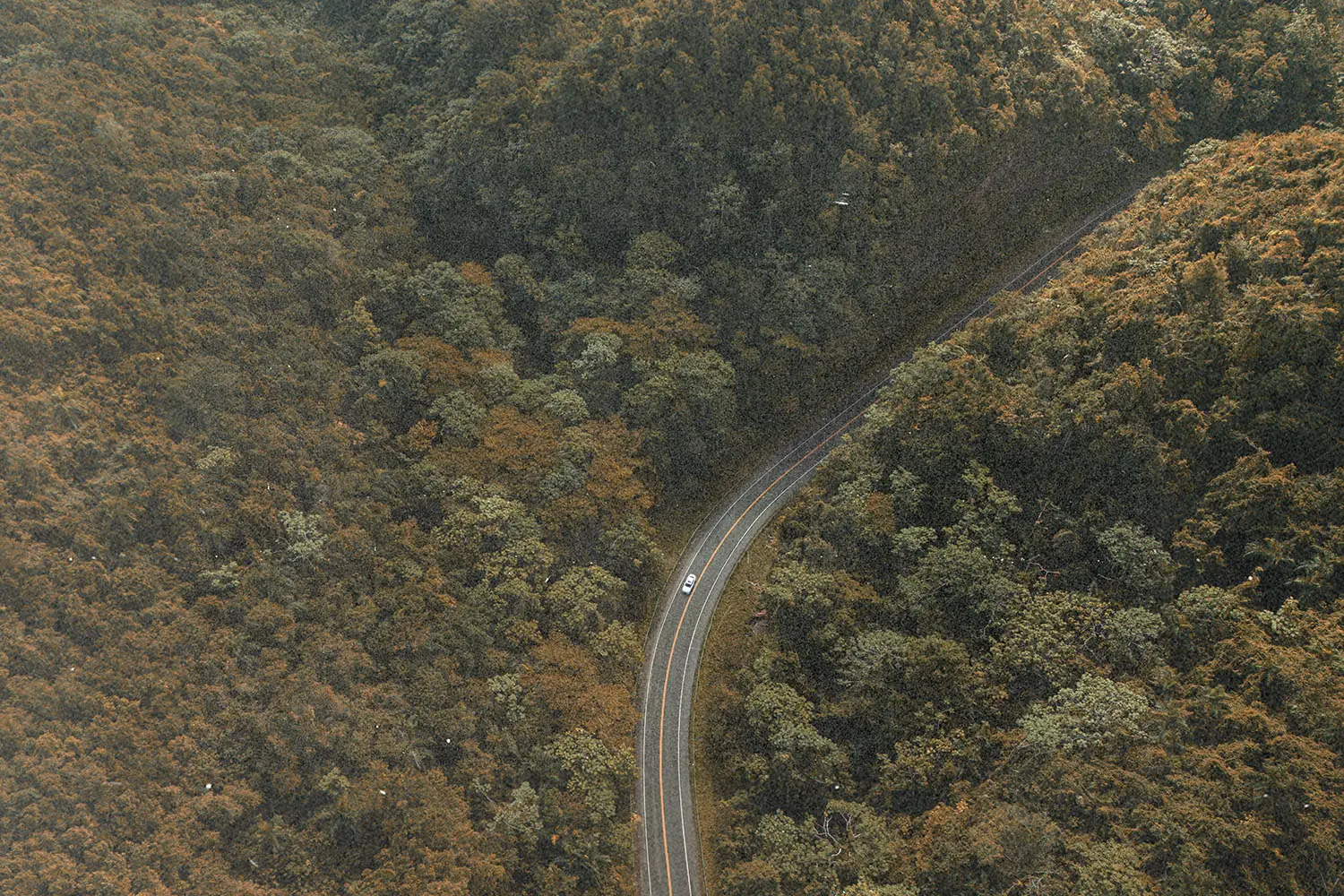 A winding road cutting through dense forested hills, viewed from above
