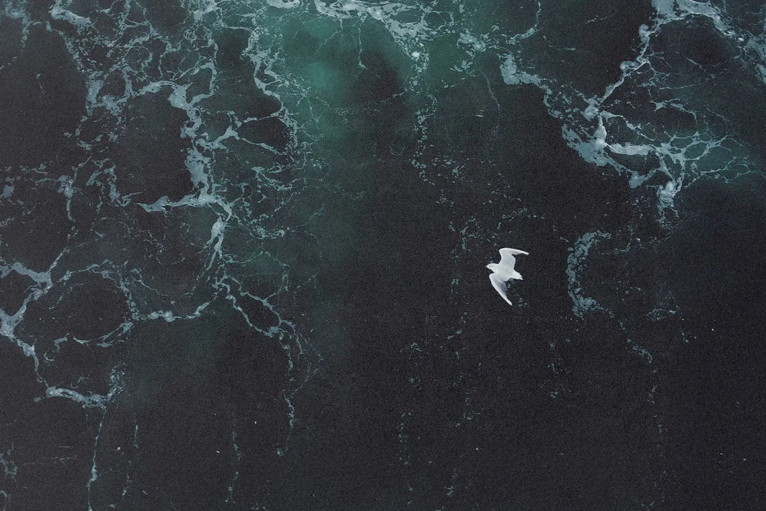 Seagull gliding above deep, choppy ocean water with swirling foam patterns