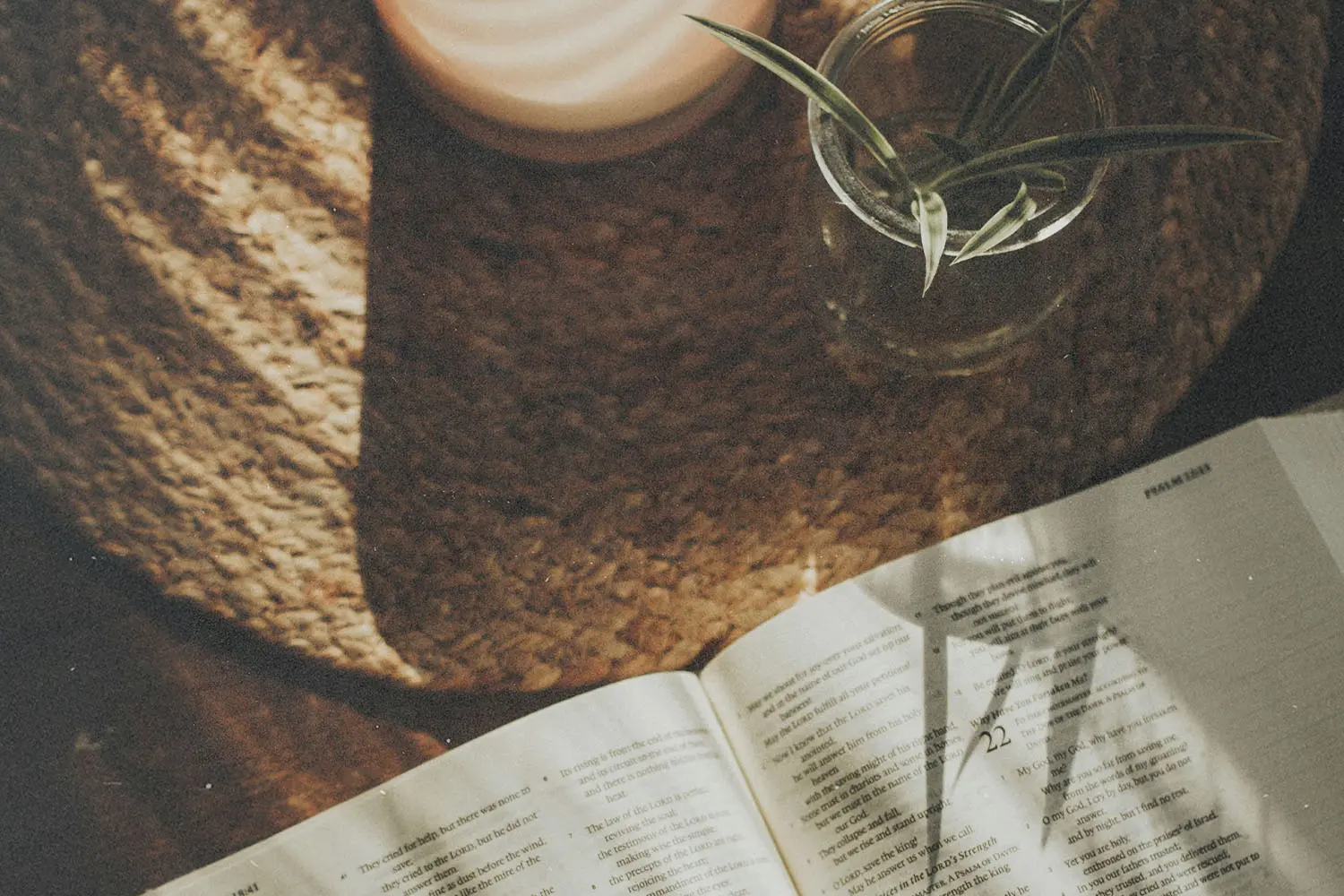 An open book resting on a textured surface beside a small glass container with a plant, lit by warm natural light