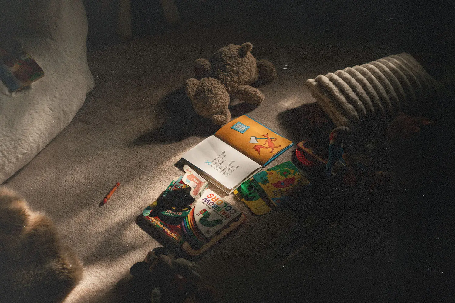 Children’s books and a stuffed teddy bear scattered on a carpeted floor, illuminated by soft natural light