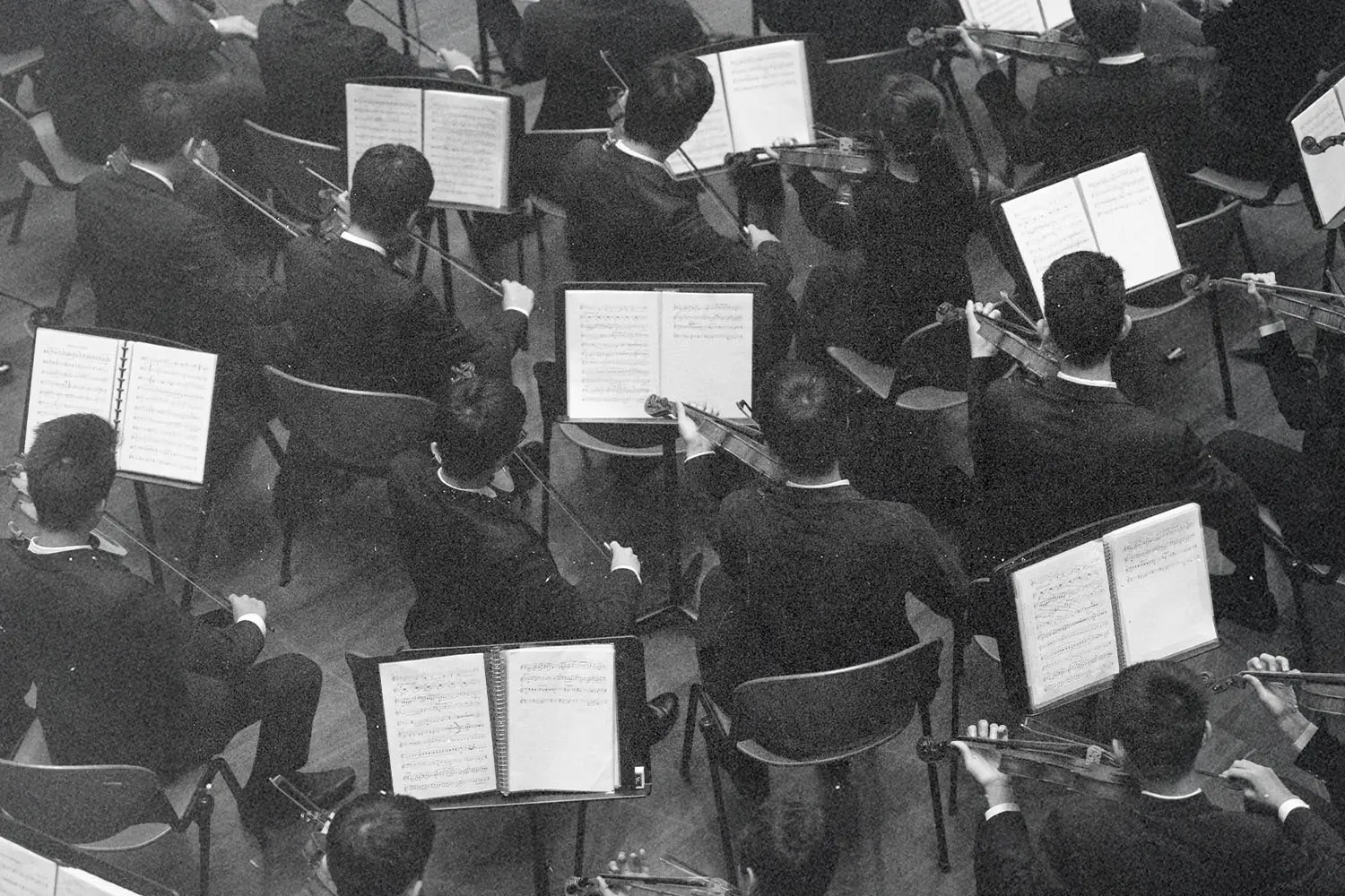 Musicians seated in rows playing string instruments with open sheet music in a formal rehearsal setting