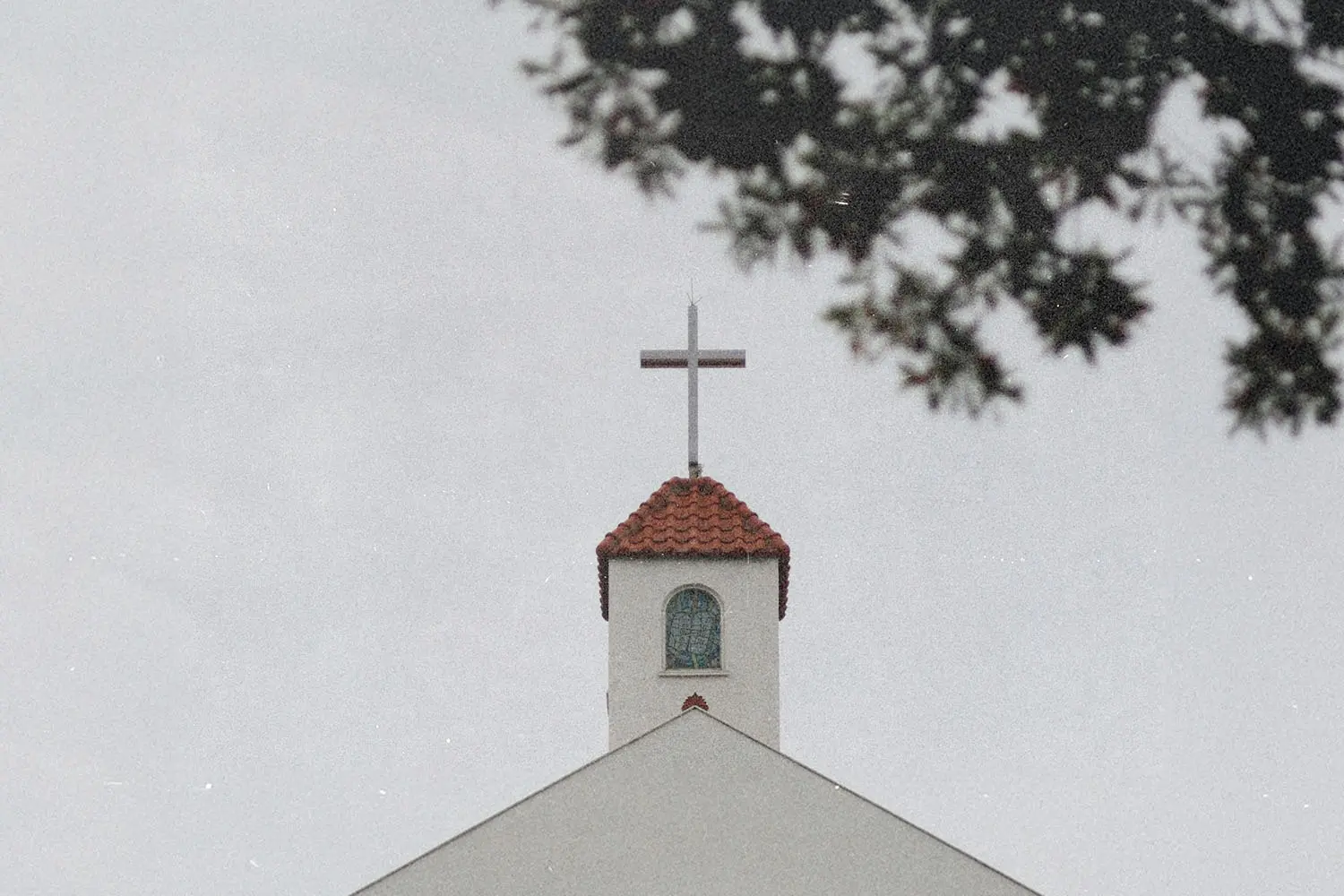 White church steeple topped with a cross framed by overhanging tree branches