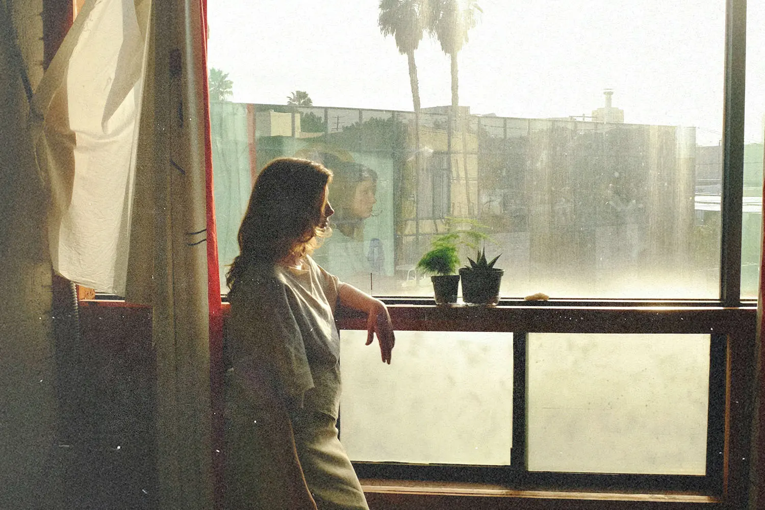 Person standing beside a large sunlit window with potted plants and a view of palm trees and buildings outside