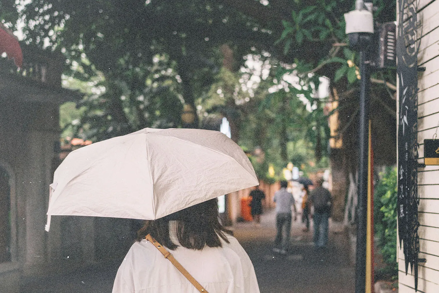 Person walking down an outdoor pathway holding a large white umbrella under tree-covered surroundings