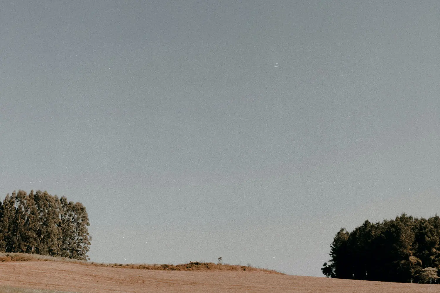 Expansive field bordered by clusters of trees beneath a wide, clear sky