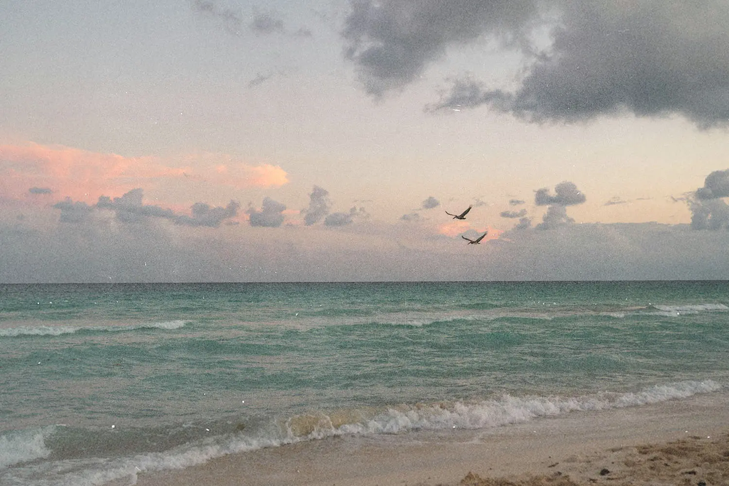 Waves gently rolling onto a sandy beach at sunset with two birds flying above the shoreline under soft pastel clouds