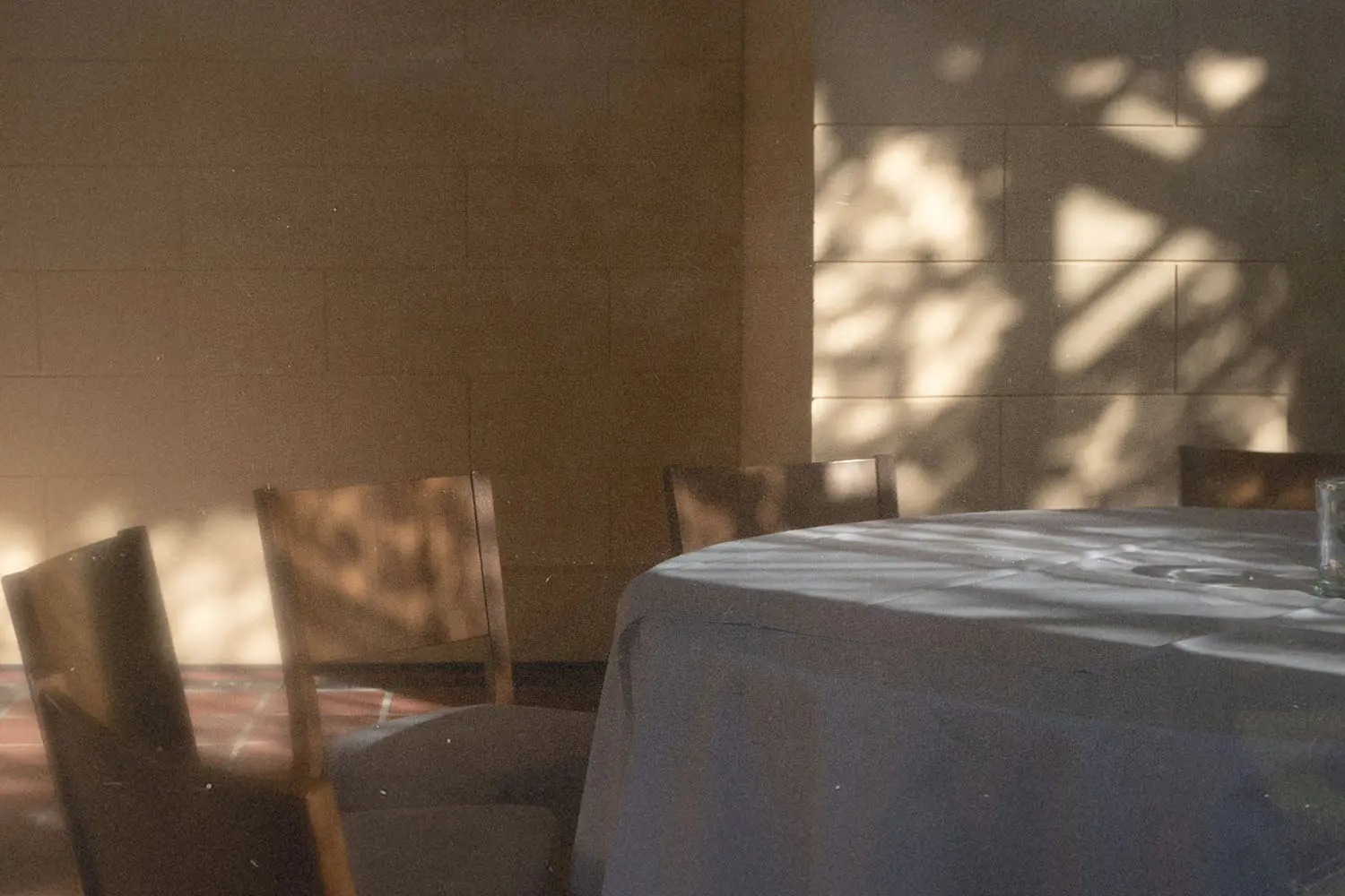 Sunlight casting soft leaf-shaped shadows across an empty round table covered with a cloth and surrounded by wooden chairs