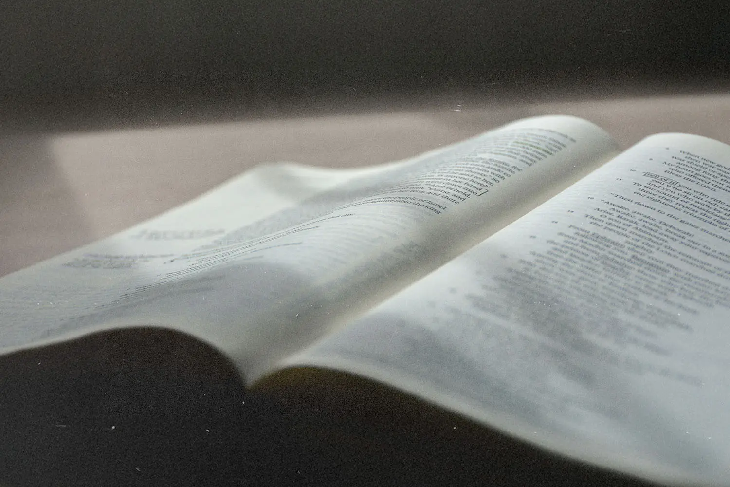 Open Bible with gently curved pages illuminated by soft natural light