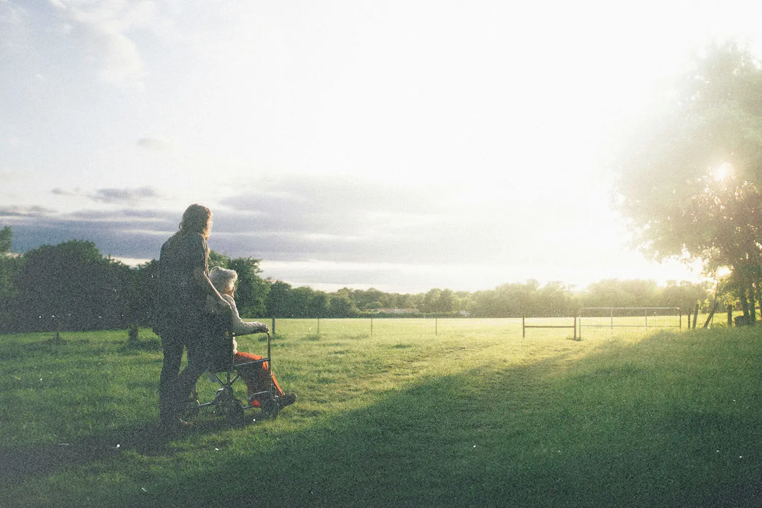 Person walking outdoors pushing a mobility walker across a sunlit field