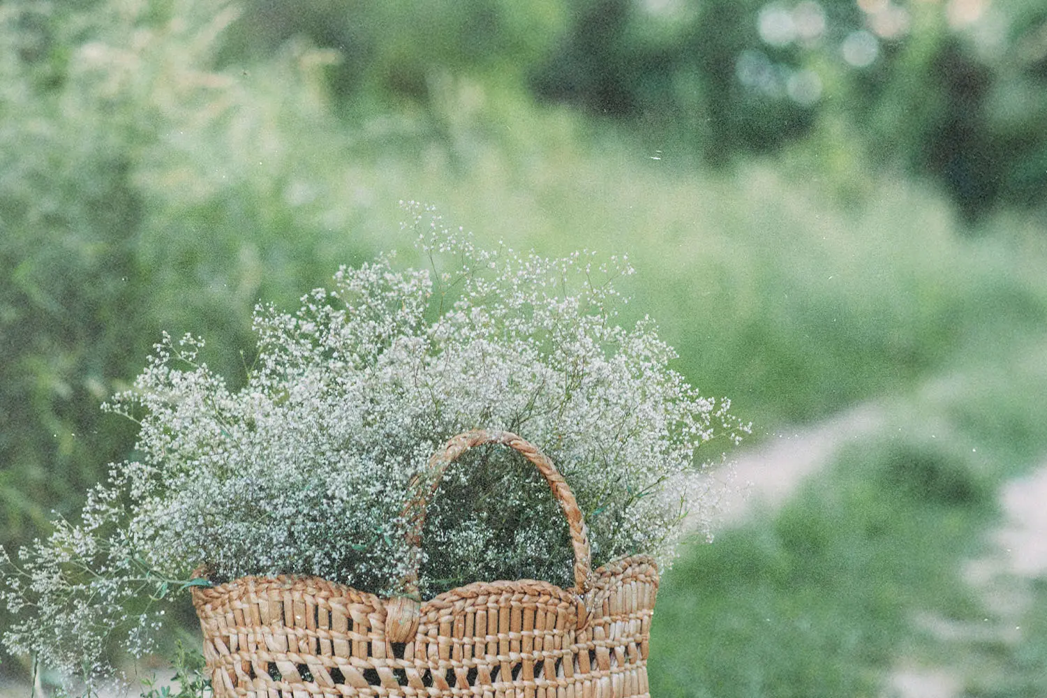 Woven basket filled with delicate white flowers set along a green outdoor path