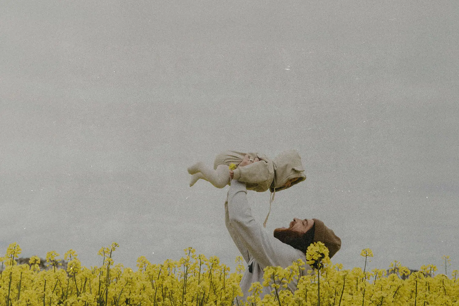 Person lifting a small child above a field of bright yellow flowers under an overcast sky
