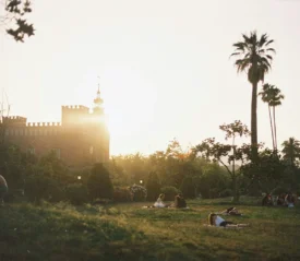 Sunlit park scene with visitors lounging on the lawn near palm trees and historic architecture