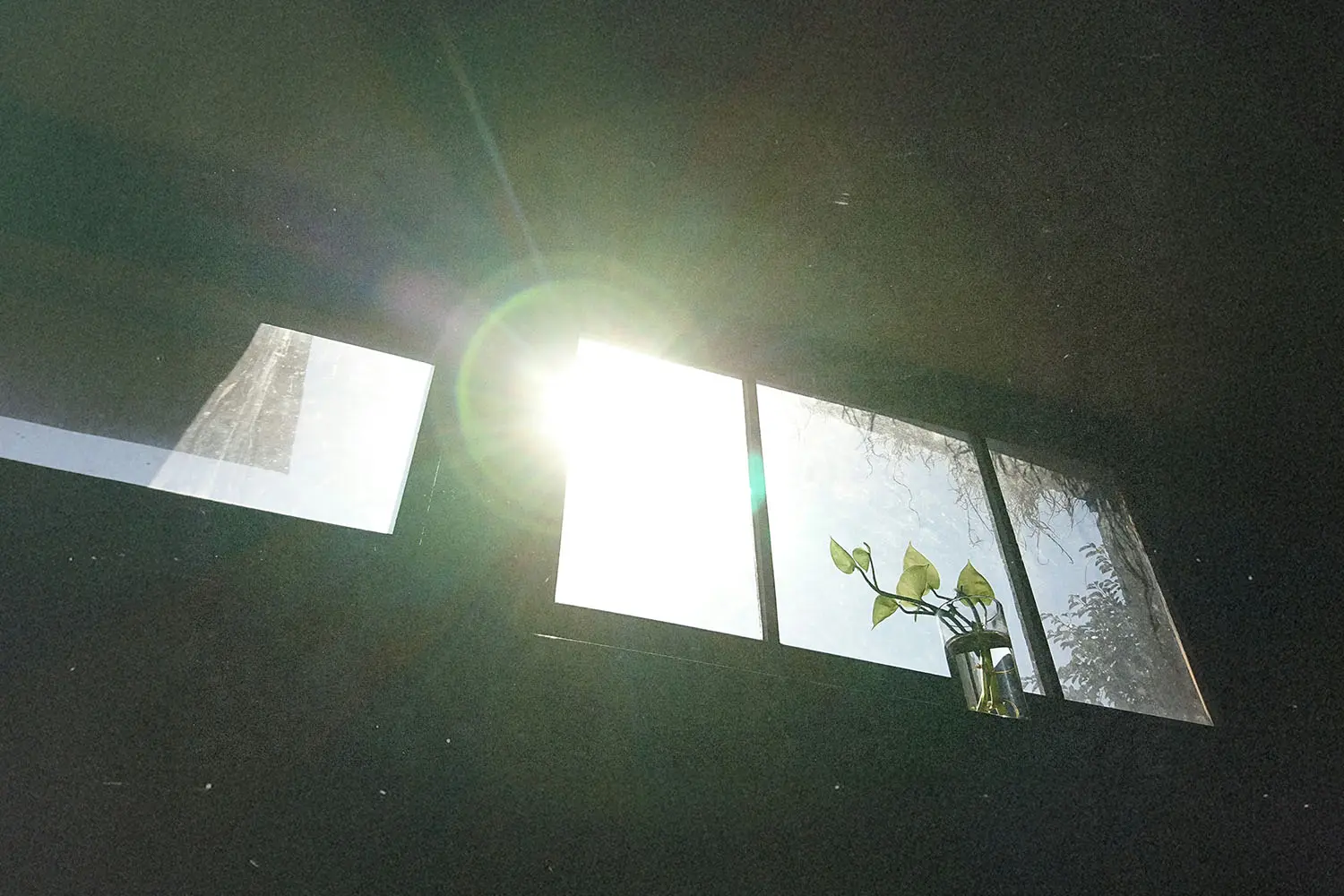 Bright sunlight streaming through a window, illuminating a small plant in a glass jar on the windowsill