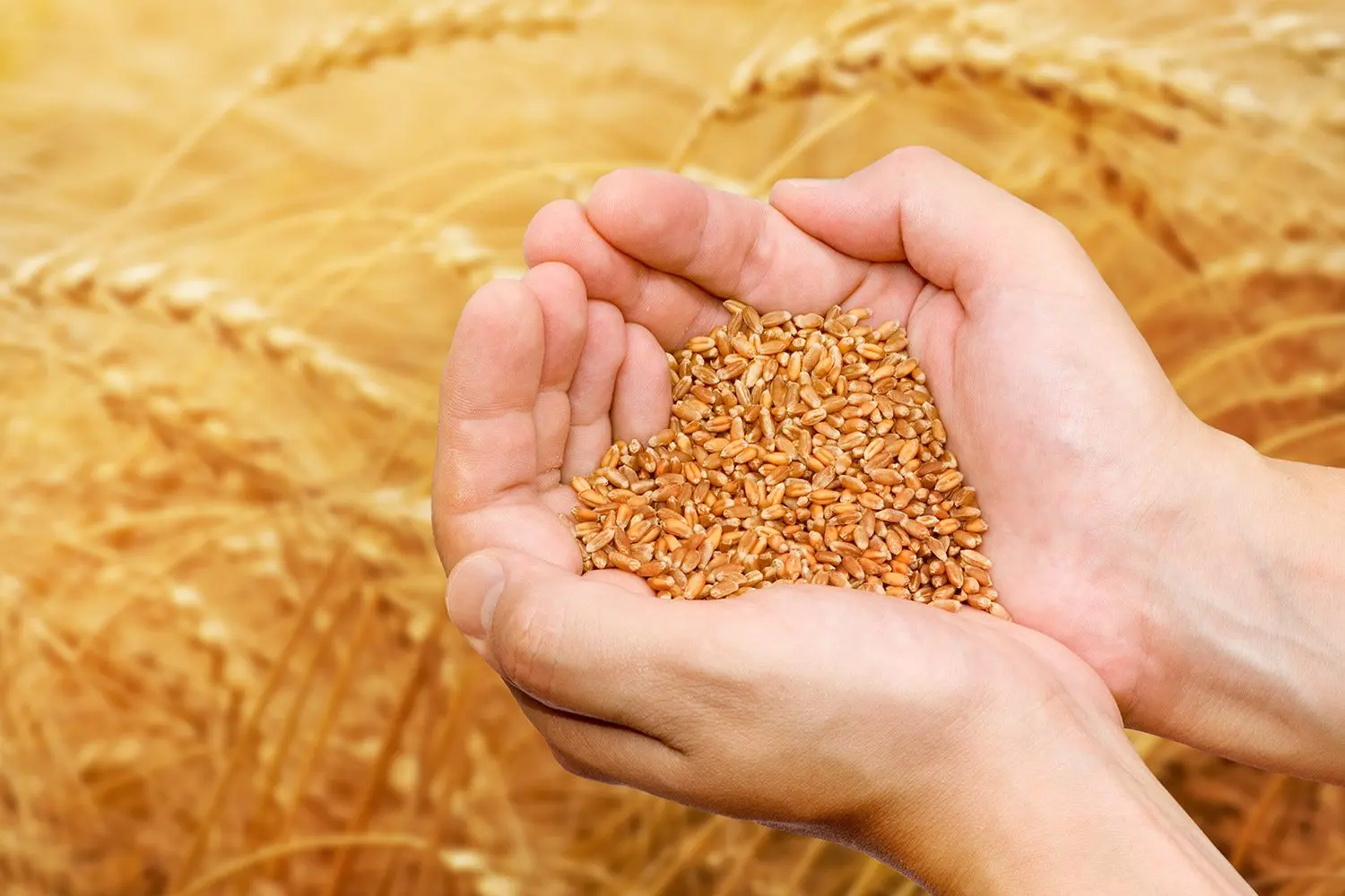 How much is a hundredfold return?